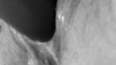 Close Up Anal Toying