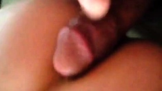 Arab Bareback breeding in Toronto - rolem