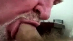 Daddy bear sucking cock