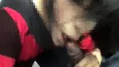 Blowjobs