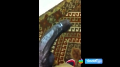 Uncut Black Dick