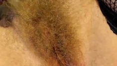 Hairy Blonde Pusy (CloseUp)